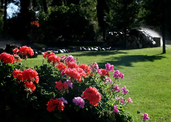 Casa Grazia Tatil Evi *